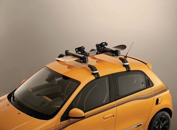 porte-skis